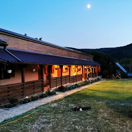 Гостьовий будинок Casa Borcean 2 Саска-Монтана Екстер'єр фото