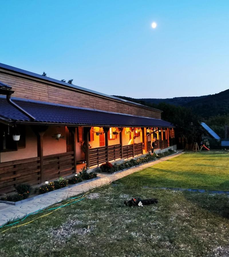 Гостьовий будинок Casa Borcean 2 Саска-Монтана Екстер'єр фото
