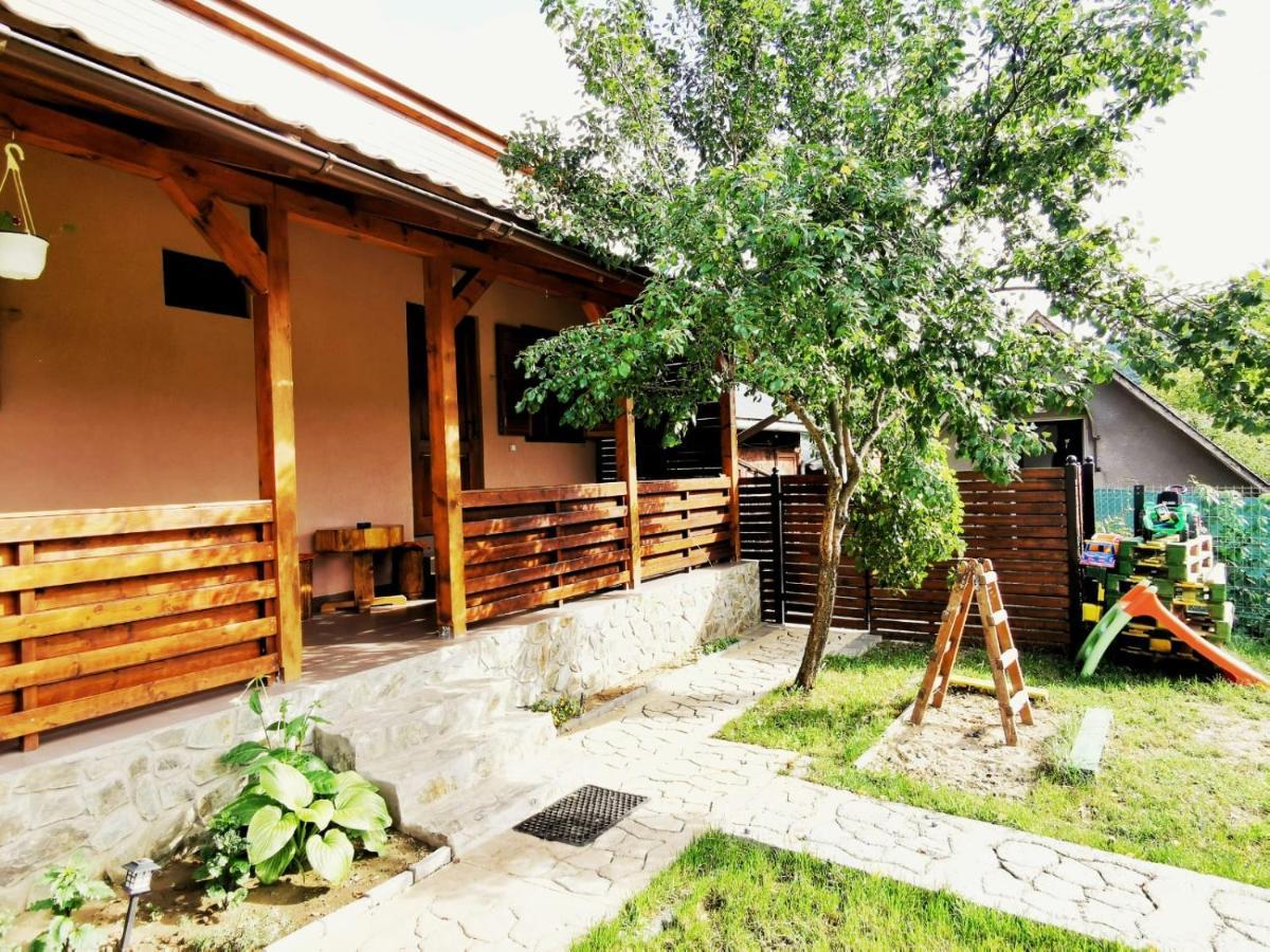 Гостьовий будинок Casa Borcean 2 Саска-Монтана Екстер'єр фото